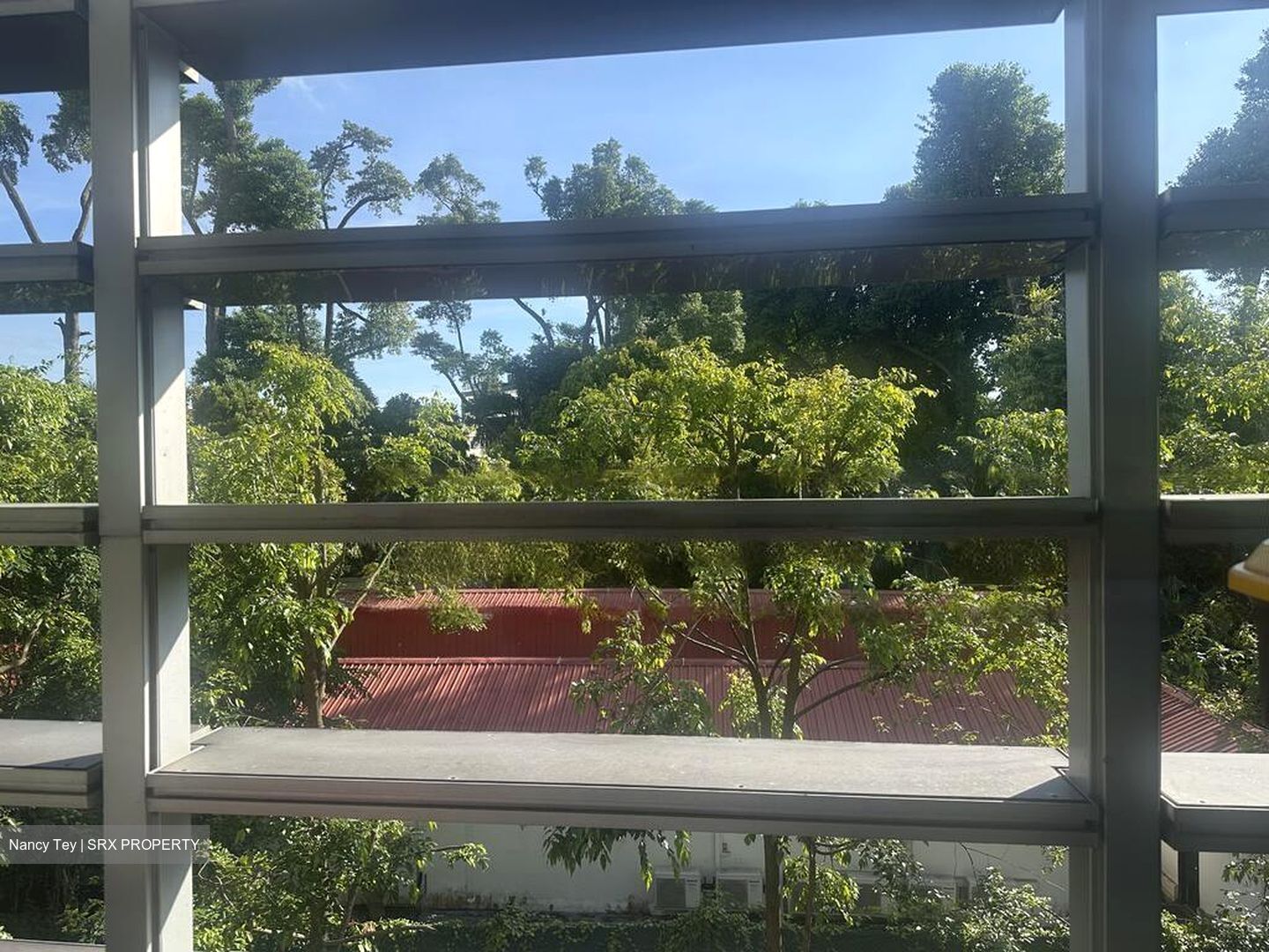 Nassim Park Residences (D10), Condominium #483368641